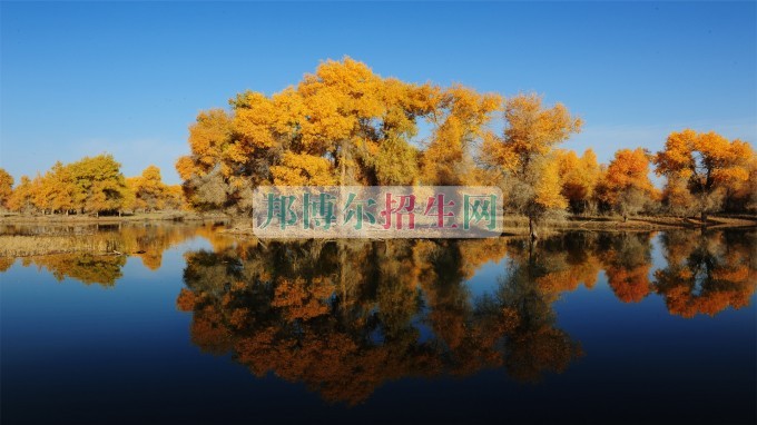 阿克蘇職業(yè)技術(shù)學院宿舍條件