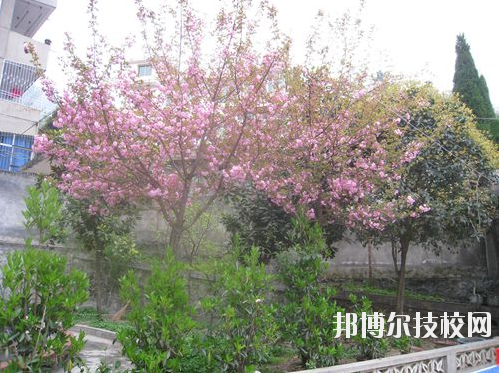 嵐皋縣中等職業(yè)技術(shù)學(xué)校2020年報(bào)名條件、招生要求、招生對(duì)象