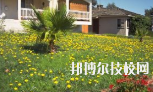 同學(xué)們需要依據(jù)自己所了解的情況來選擇學(xué)校，那么這也決定看同學(xué)們需要去了解這些學(xué)校的招生簡章，以便可以清楚的了解學(xué)校信息。下面就由小編給同學(xué)們介紹的有關(guān)于蘭州園藝學(xué)校招生簡章以及相關(guān)情況，以供大家參考了解。  蘭州園藝學(xué)校層次：中專  蘭州園藝學(xué)校性質(zhì)：公辦  蘭州園藝學(xué)校地址：蘭州市西固區(qū)范家坪  蘭州園藝學(xué)校介紹 蘭州園藝學(xué)校是全省唯一一所園藝、設(shè)施園藝、園林花卉、生態(tài)環(huán)境保護(hù)、建筑裝飾、旅游服務(wù)管理、計算機(jī)網(wǎng)絡(luò)技術(shù)、古建筑油漆彩畫等專業(yè)為一體的國辦全日制普通中等專業(yè)學(xué)校。  學(xué)校地處全省政治經(jīng)濟(jì)文化中心蘭州市,占地面積8萬平方米。有各類教學(xué)實驗室14個，擁有圖書館、閱覽室、組培室、微機(jī)室、語音室、電教室、校園網(wǎng)等各類教學(xué)設(shè)施。校園環(huán)境幽靜、空氣清新、規(guī)劃科學(xué)、設(shè)計獨特。校園內(nèi)溫?zé)釒Щɑ芷贩N齊全，三季有花，四季常青，教學(xué)生活設(shè)施齊全，師資力量雄厚校風(fēng)優(yōu)良。學(xué)校在珠海、深圳、上海、昆明、蘭州和平牡丹園等地有多處實習(xí)基地。學(xué)校以獨特的專業(yè)設(shè)置，超長的市場預(yù)測和嚴(yán)格的管理，為社會培養(yǎng)了大批實用型中等專業(yè)人才，畢業(yè)生就業(yè)面積廣，就業(yè)率高。  了解了蘭州園藝學(xué)校的信息后，就知道簡章也是可以用來選擇學(xué)校的。以上就是小編給大家整理的蘭州園藝學(xué)校招生簡章，想要了解更多有關(guān)于學(xué)校信息的同學(xué)們是可以直接咨詢了解邦博爾相關(guān)網(wǎng)站。