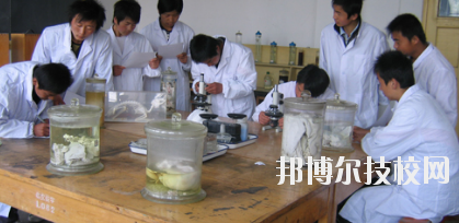 臨夏農(nóng)業(yè)學(xué)校2020年學(xué)費、收費多少