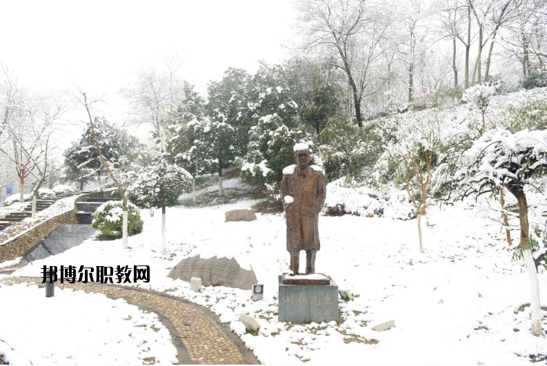 南京工業(yè)大學2020年報名條件、招生要求、招生對象