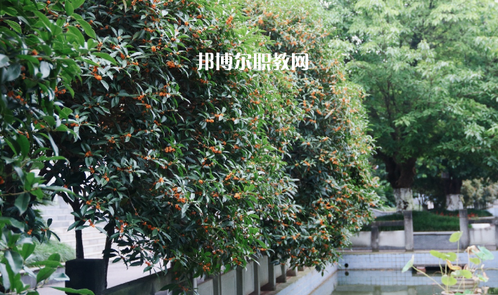 德陽(yáng)通用電子科技學(xué)校怎么樣、好不好