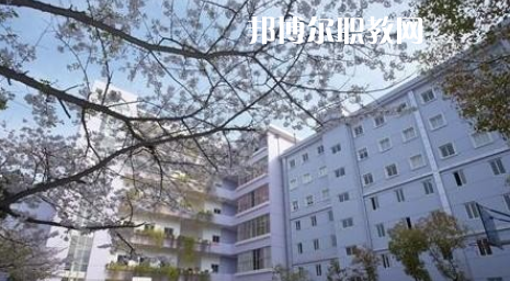 武漢體育舞蹈藝術學校2022年怎么樣、好不好
