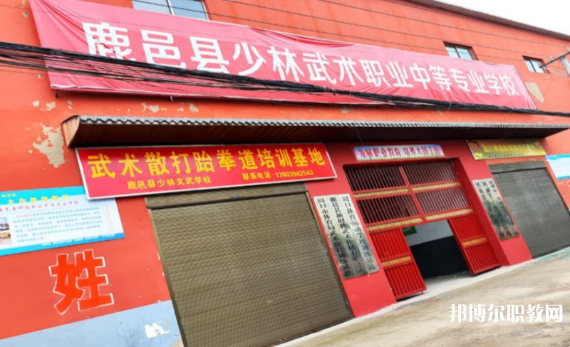 2024鹿邑縣少林武術職業(yè)中等專業(yè)學校招生計劃 招生人數是多少(附要求、條件、對象)